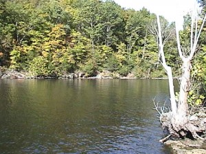 Shawnee Bend lake view 